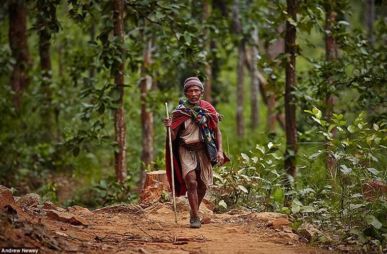 Nằm sâu trong những cánh rừng ở Nepal, một nhóm nhỏ người du mục thuộc  bộ tộc Raute vẫn sống như cách đây hàng ngàn năm: săn bắn và hái lượm. Người Raute từ lâu được biết tới là những người giỏi săn bắn và hái lượm. Ảnh: Một thành viên lớn tuổi người Raute trở về nhà sau một ngày săn bắn.